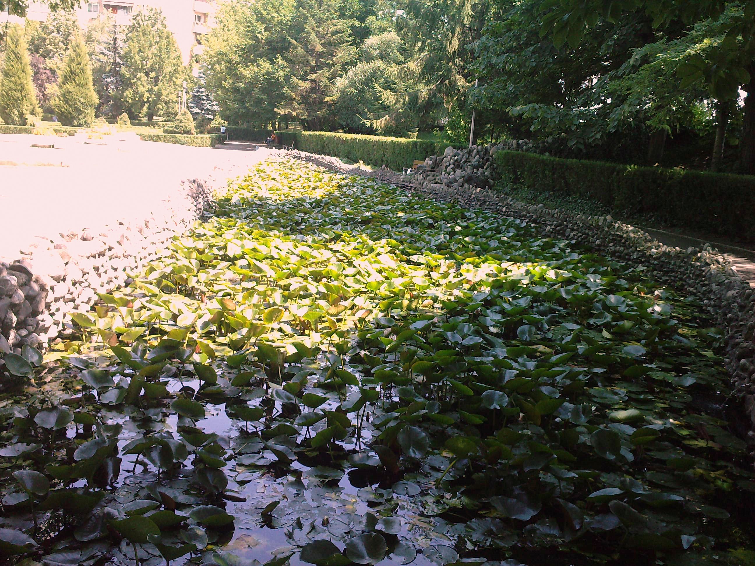 Parcul Zavoi din Ramnicul Valcea