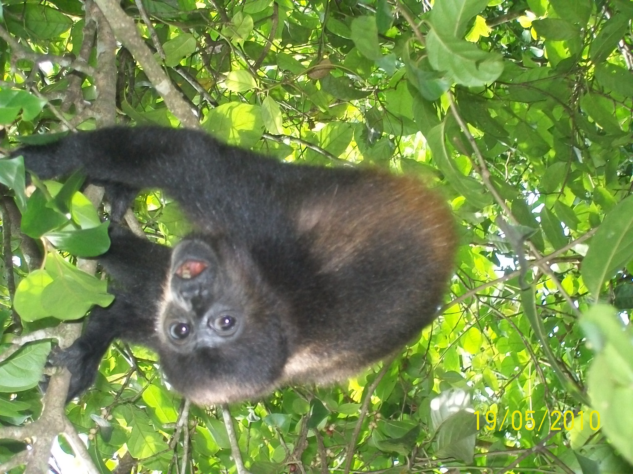 Calatorie in Costa Rica