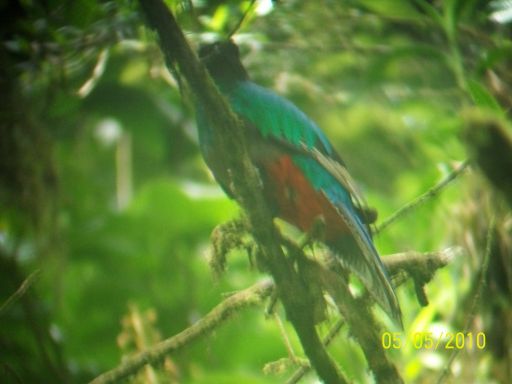 Calatorie in Costa Rica