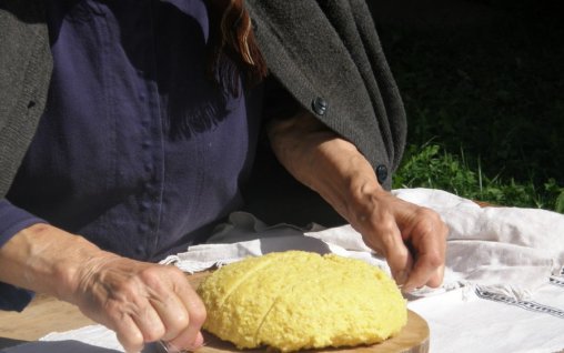 Din palmele bunicii plamadita