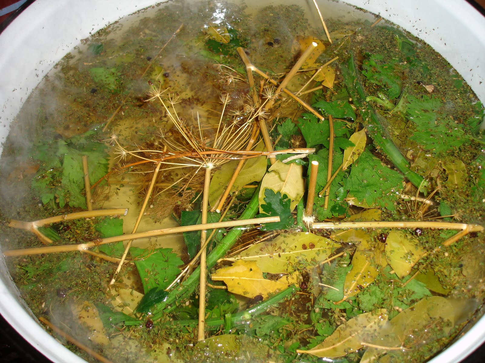 Castraveti in saramura