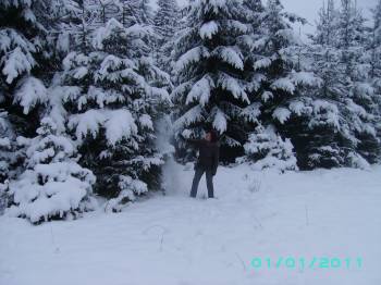 Hai hui prin Maramures (2)