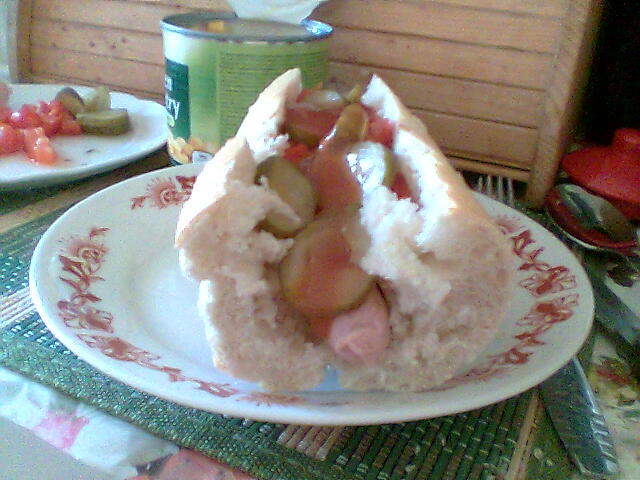 Hot dog de casa