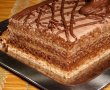 Prajitura cu 2 creme de ciocolata-7