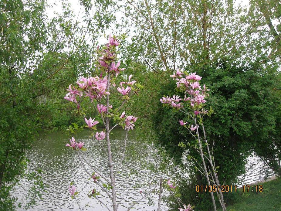 Parcul Herastrau