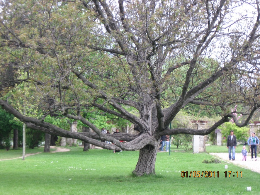 Parcul Herastrau