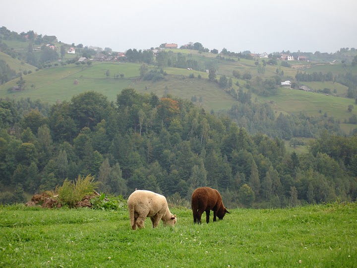 Sat Magura, o zona virgina