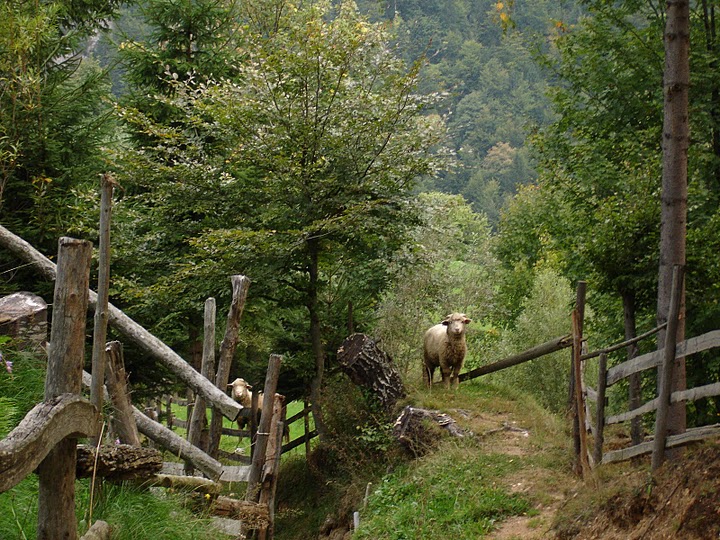 Sat Magura, o zona virgina