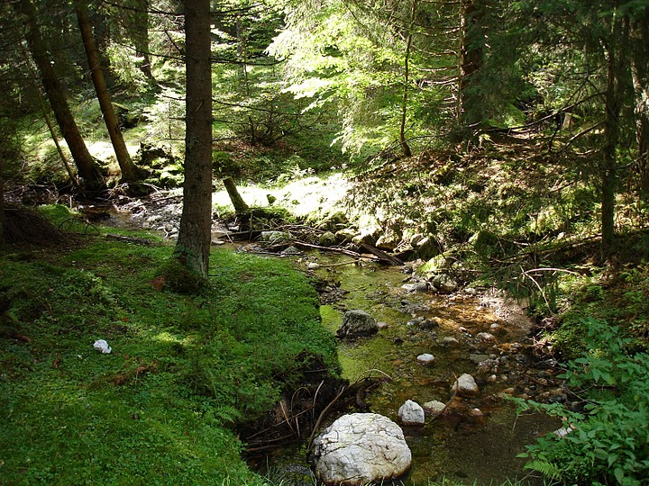 Sat Magura, o zona virgina