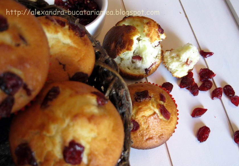 Cranberry Muffins