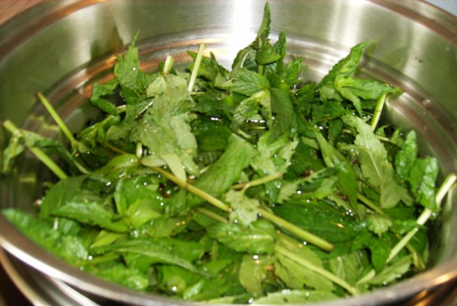 Sirop de menta