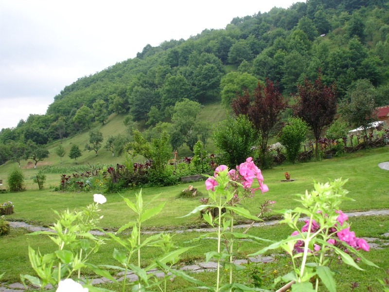 Pensiunea Doina, Vadul Izei- Maramures