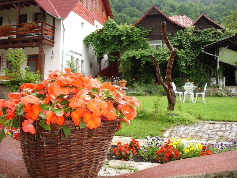 Pensiunea Doina, Vadul Izei- Maramures