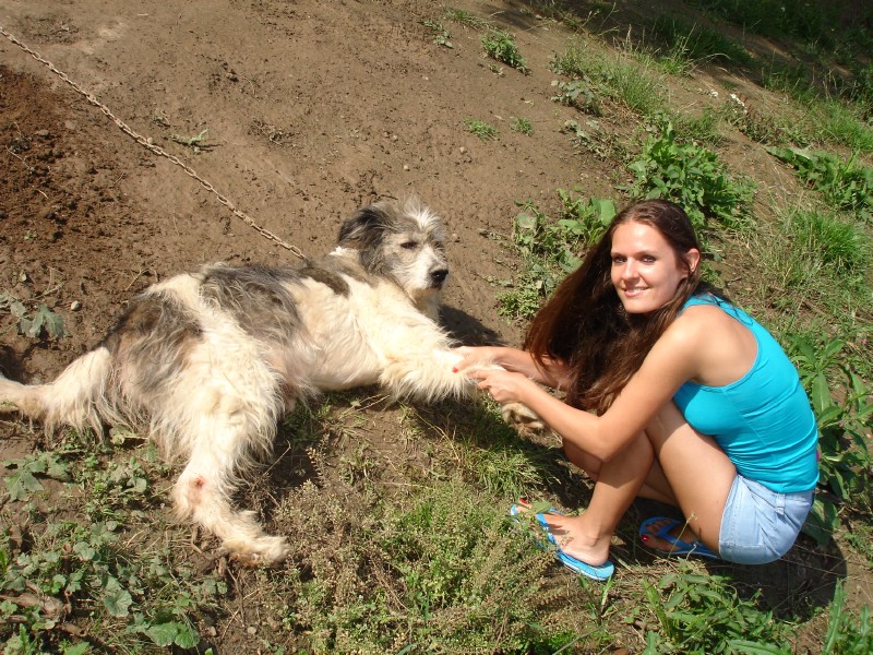 Pensiunea Doina, Vadul Izei- Maramures