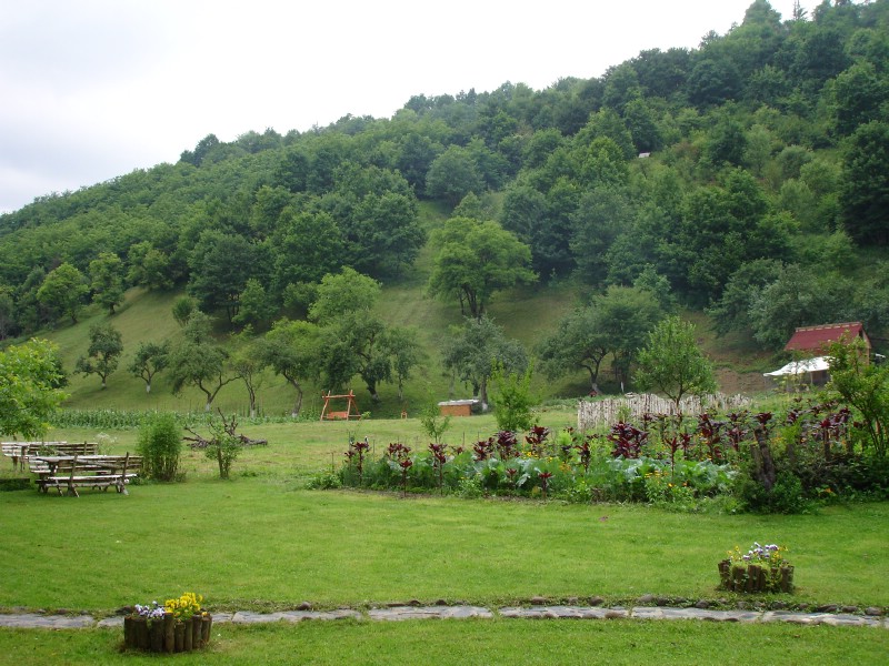 Pensiunea Doina, Vadul Izei- Maramures