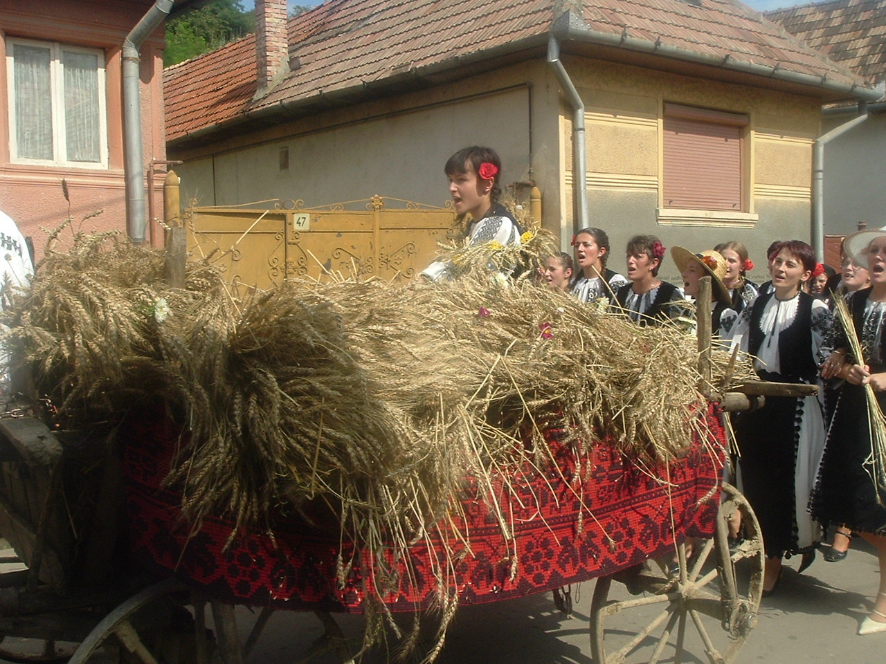 Placinte pe lespede