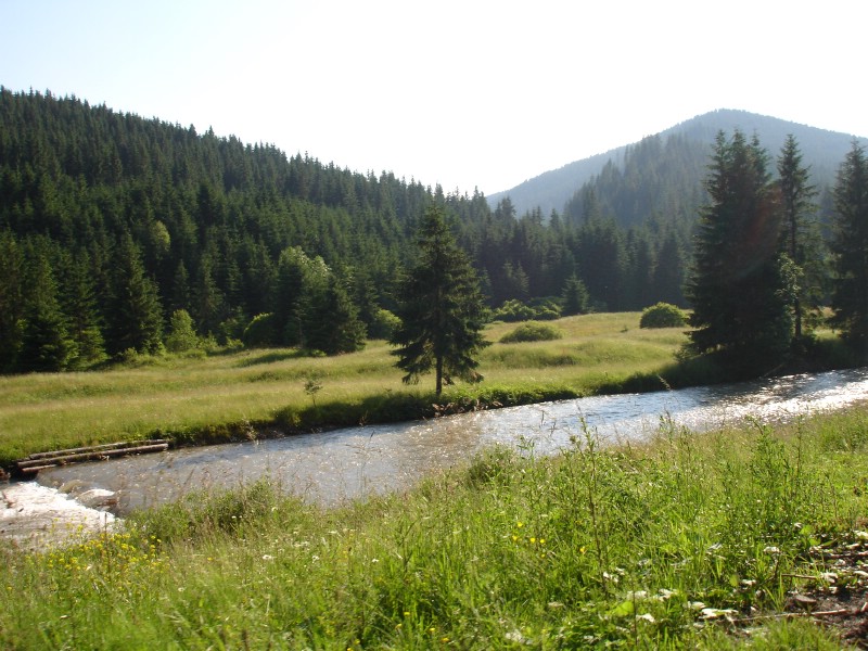 Maramu si nu numai