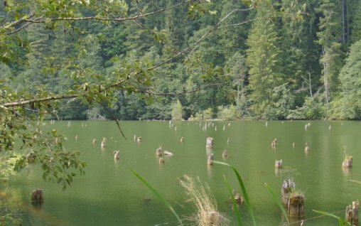 Vacanţă în adidaşi (3)- Lacul Roşu si Cheile Bicazului