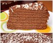 Tort cu ciocolata, foi de ciocolata...ciocolata...ciocolata...-3