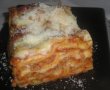 LASAGNA-12