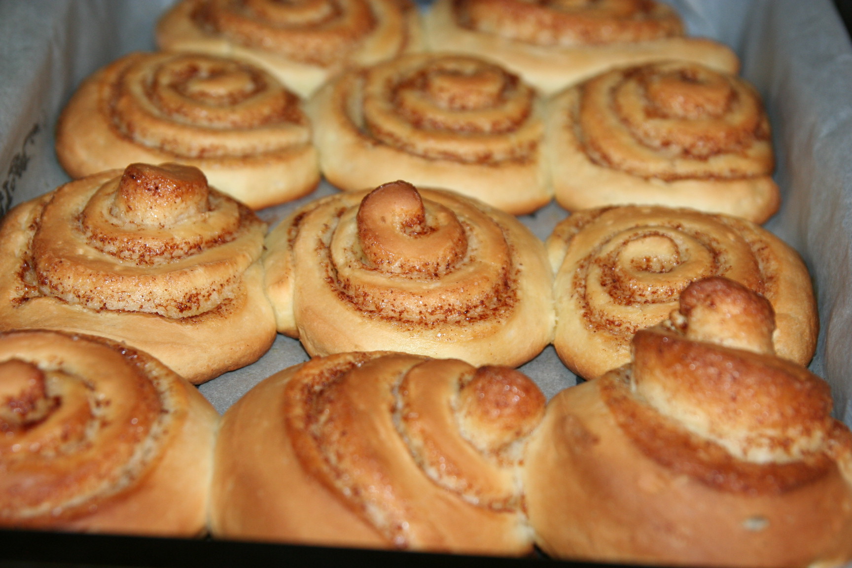 Cinnamon Rolls