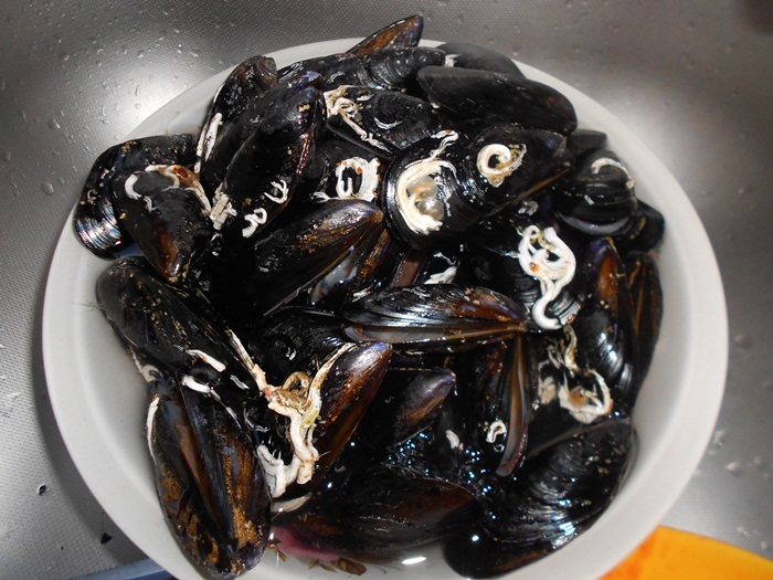 Cozze alla marinara