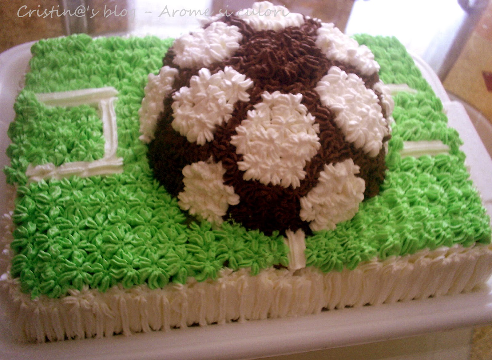 Tort teren de fotbal