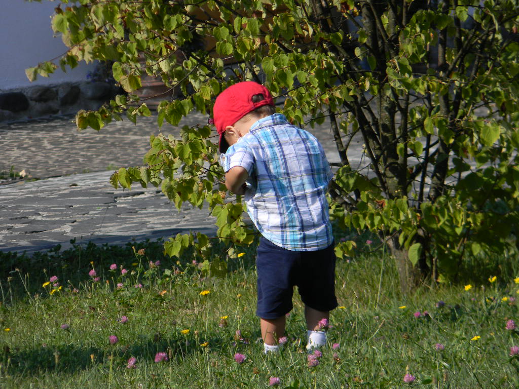 Maramures plai cu flori  - Manastirea Barsana