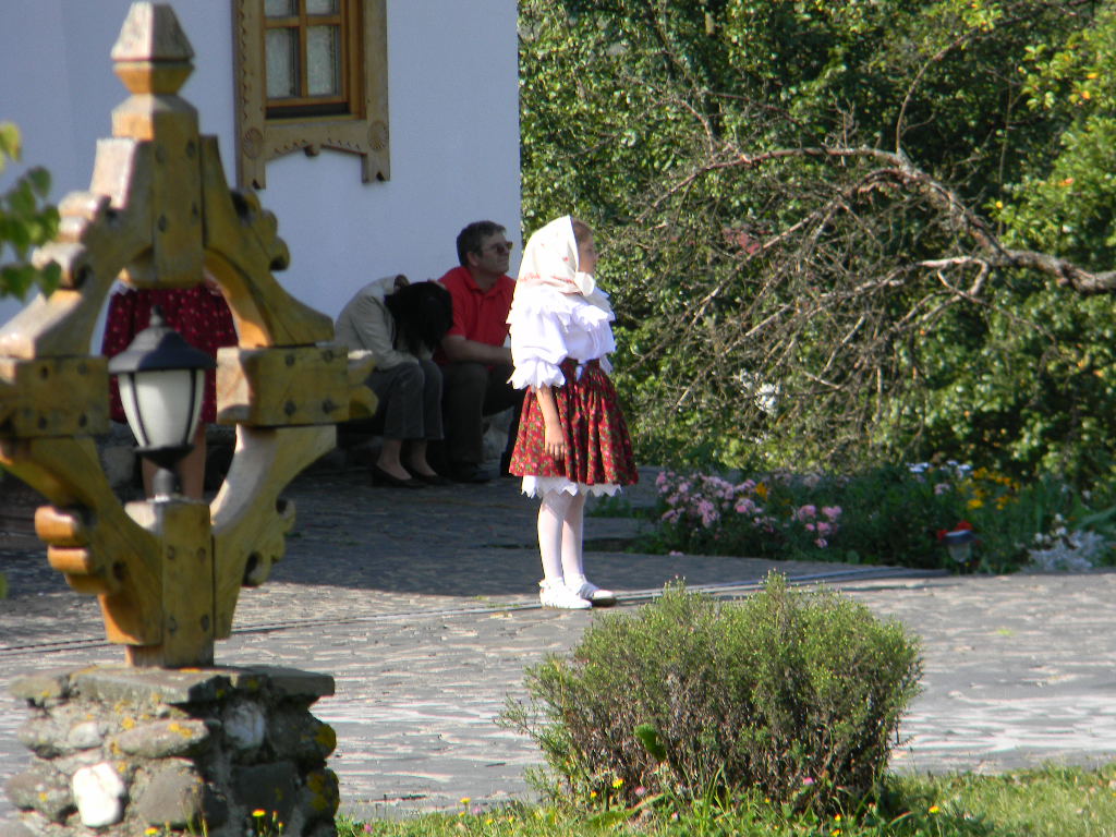 Maramures plai cu flori  - Manastirea Barsana