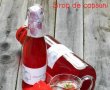 Sirop de capsuni-1