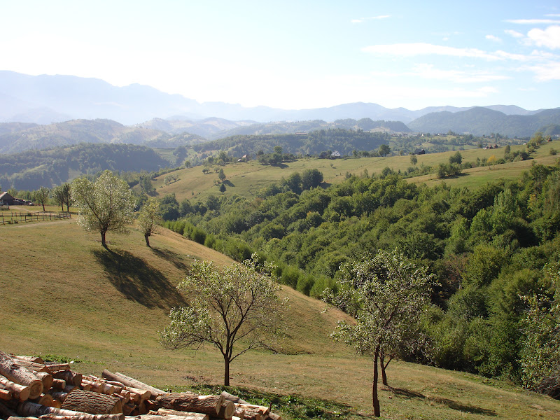 Traseu de munte in anul acesta