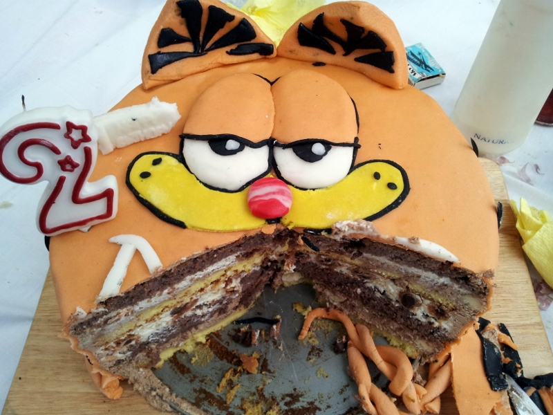 Tort Garfield