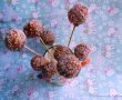 Cake pops cu sampanie-3