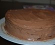 Tort cu crema de ciocolata si Skittles-3
