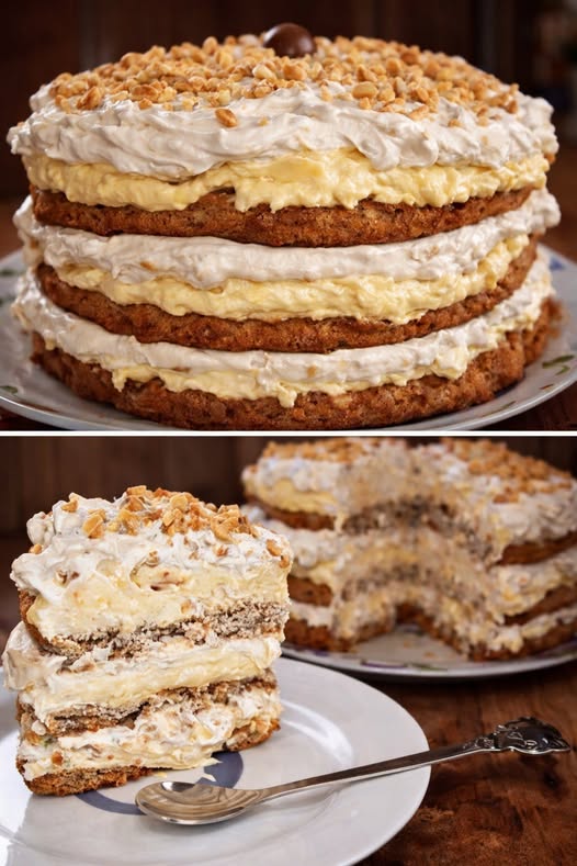 Desert tort Egiptean