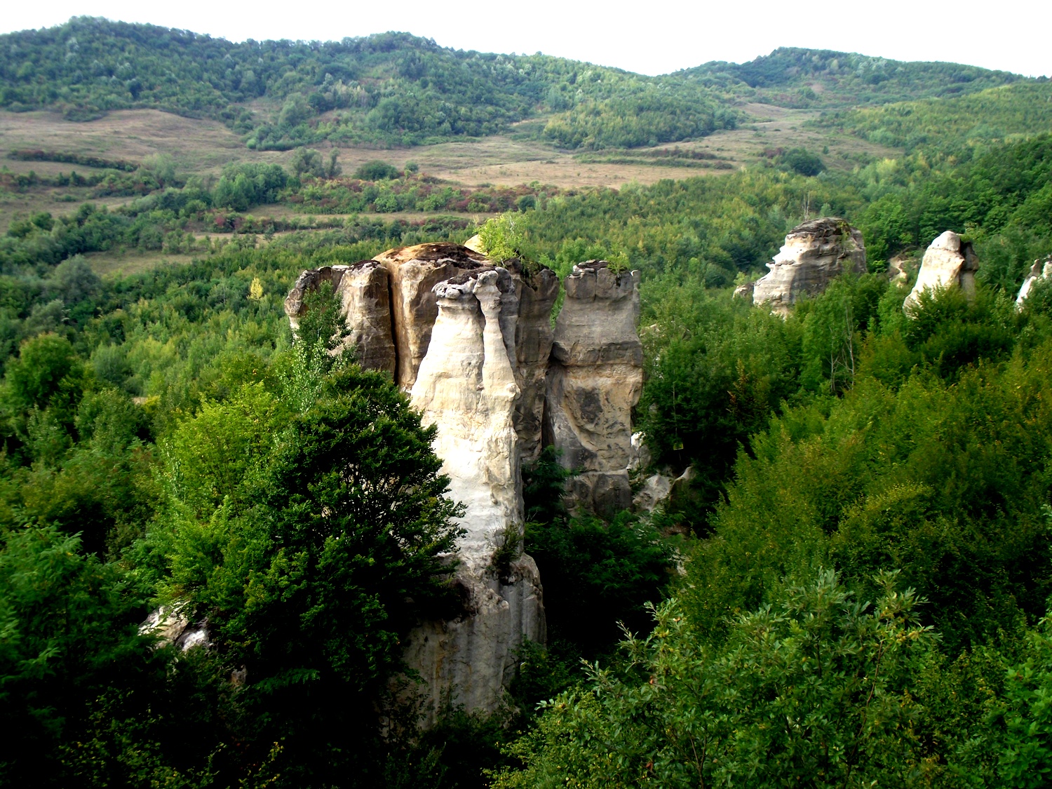 Bucătăras hai-hui – Grădina Zmeilor