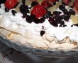 Pavlova-15