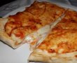 Pizza Calzone-7