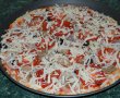 Pizza cu ton-9