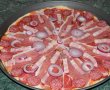 Pizza cu de toate (motaneasca)-8