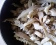 Ciuperci pleurotus garnitura-0