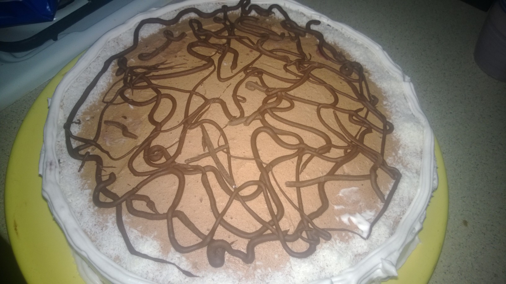 Tort cu ganache de ciocolata si visine