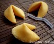 Fortune cookies (fursecuri cu răvaşe)-0