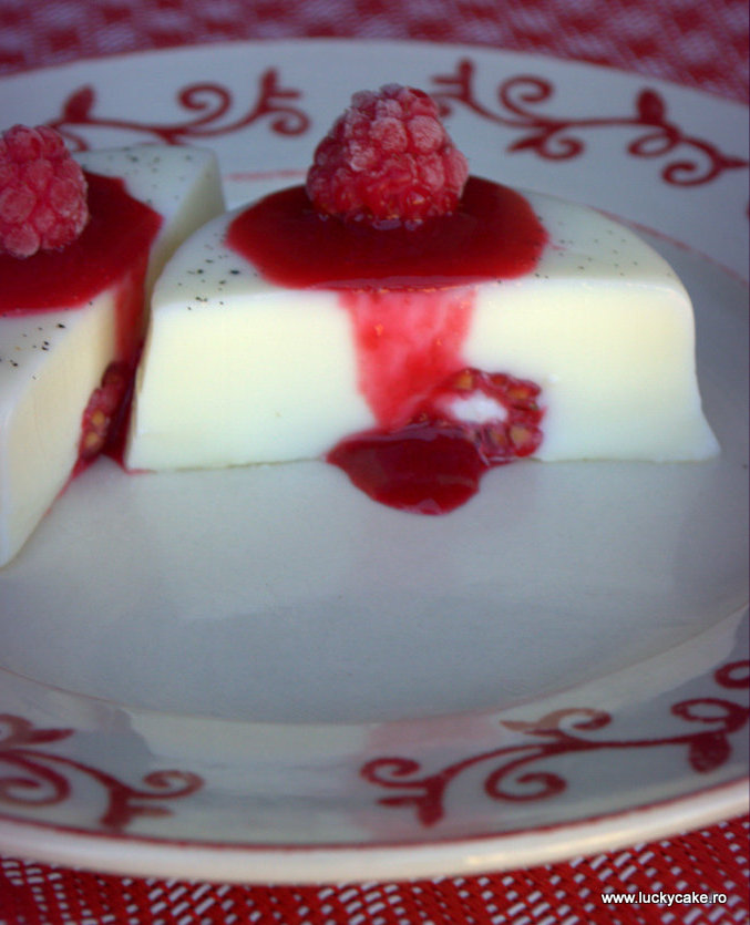 Panna cotta cu zmeura