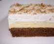 Prajitura Inghetata - Reteta unui desert delicios si cremos-5