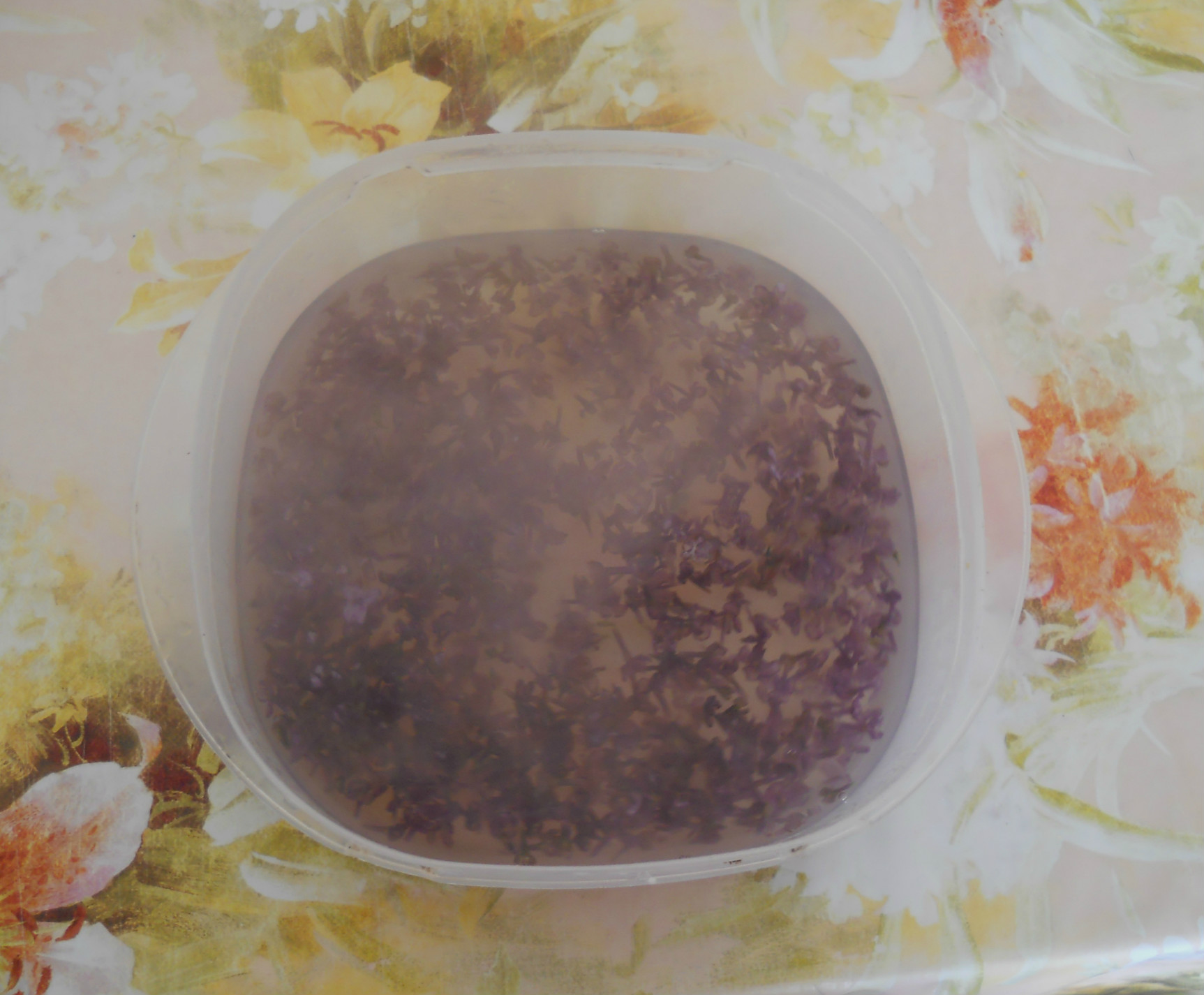 Sirop de liliac