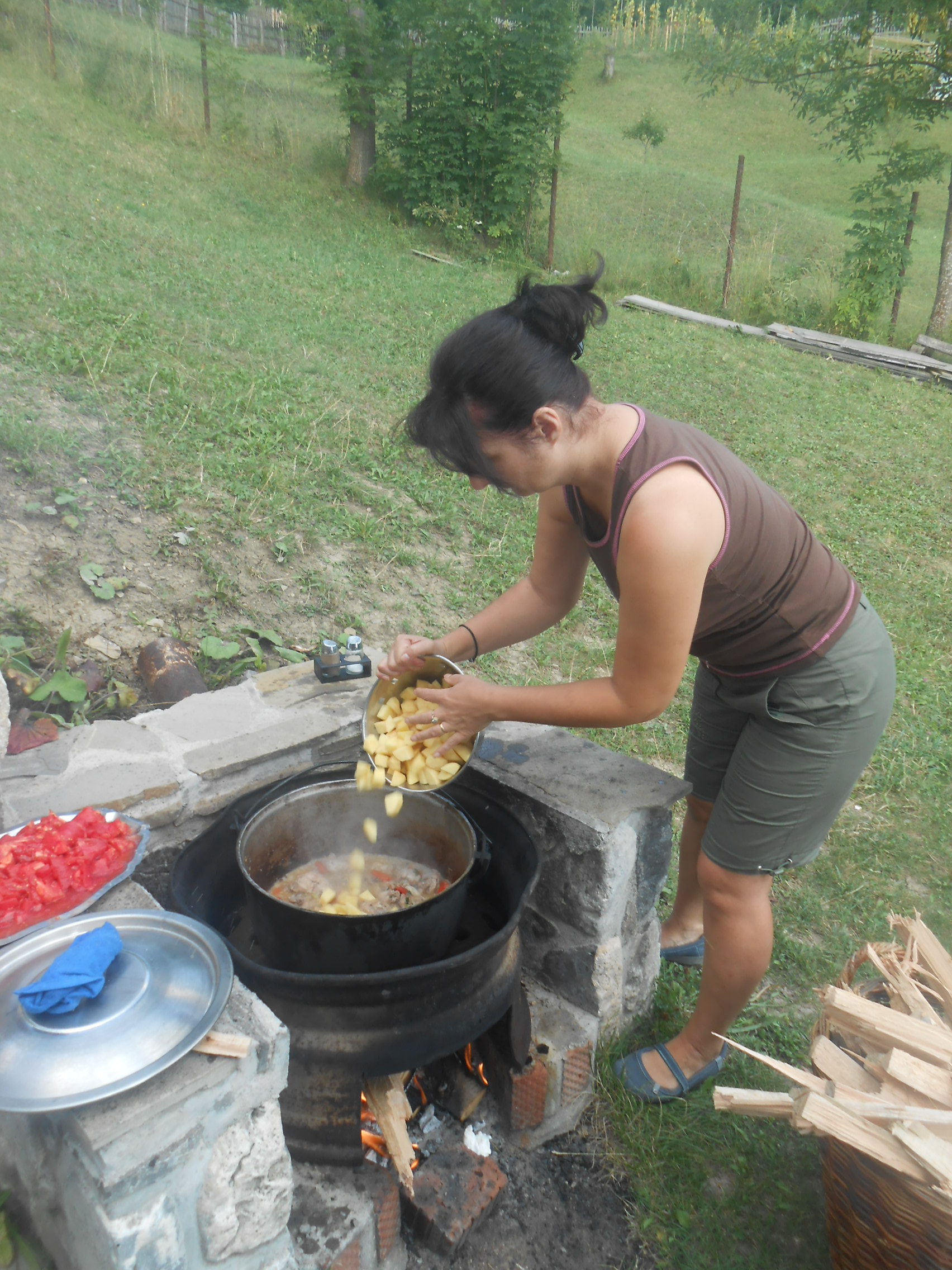 Tocana la ceaun, pe foc de lemne