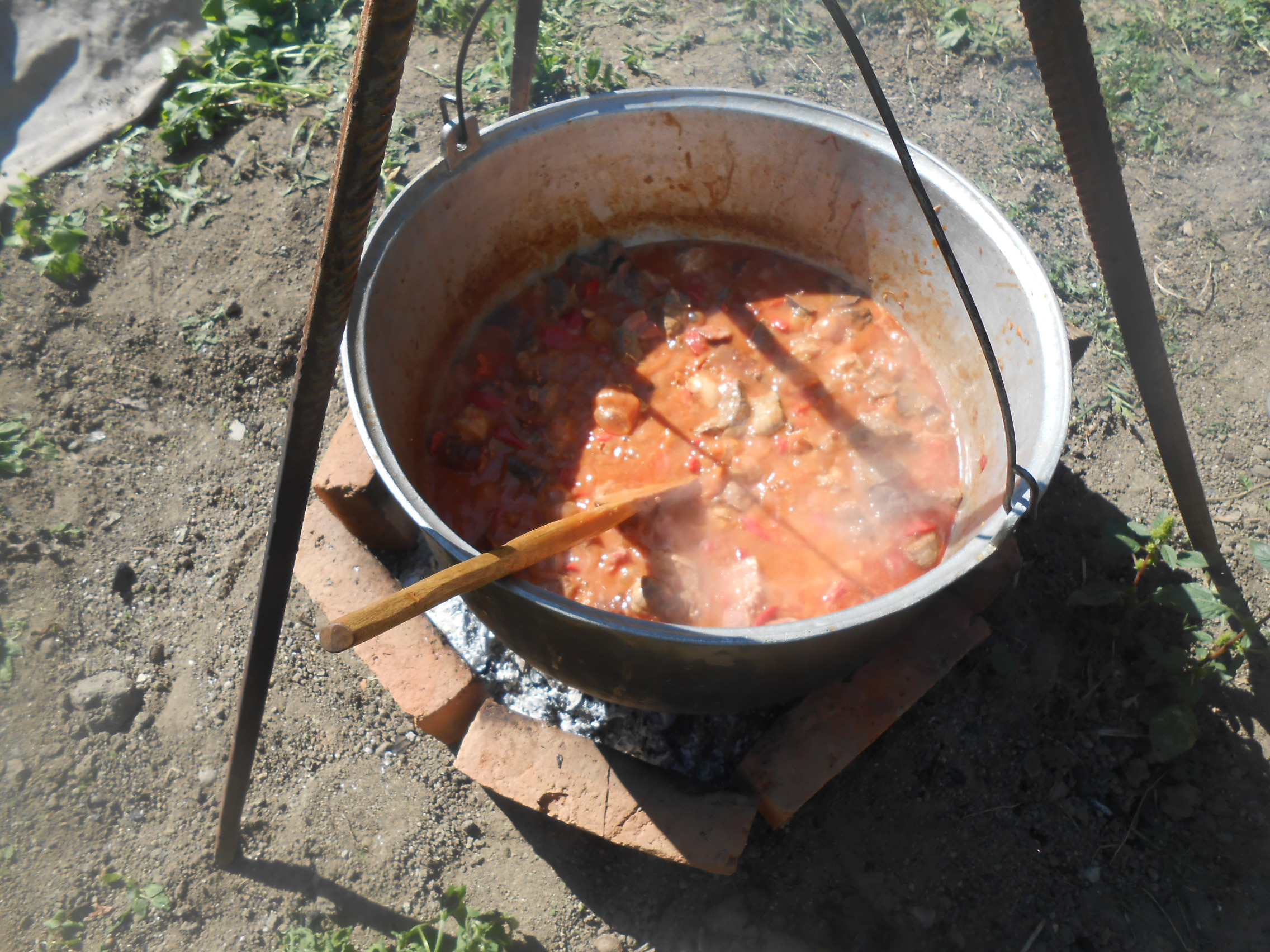 Tocana de porc la ceaun - Reteta savuroasa ideala pentru gurmanzi