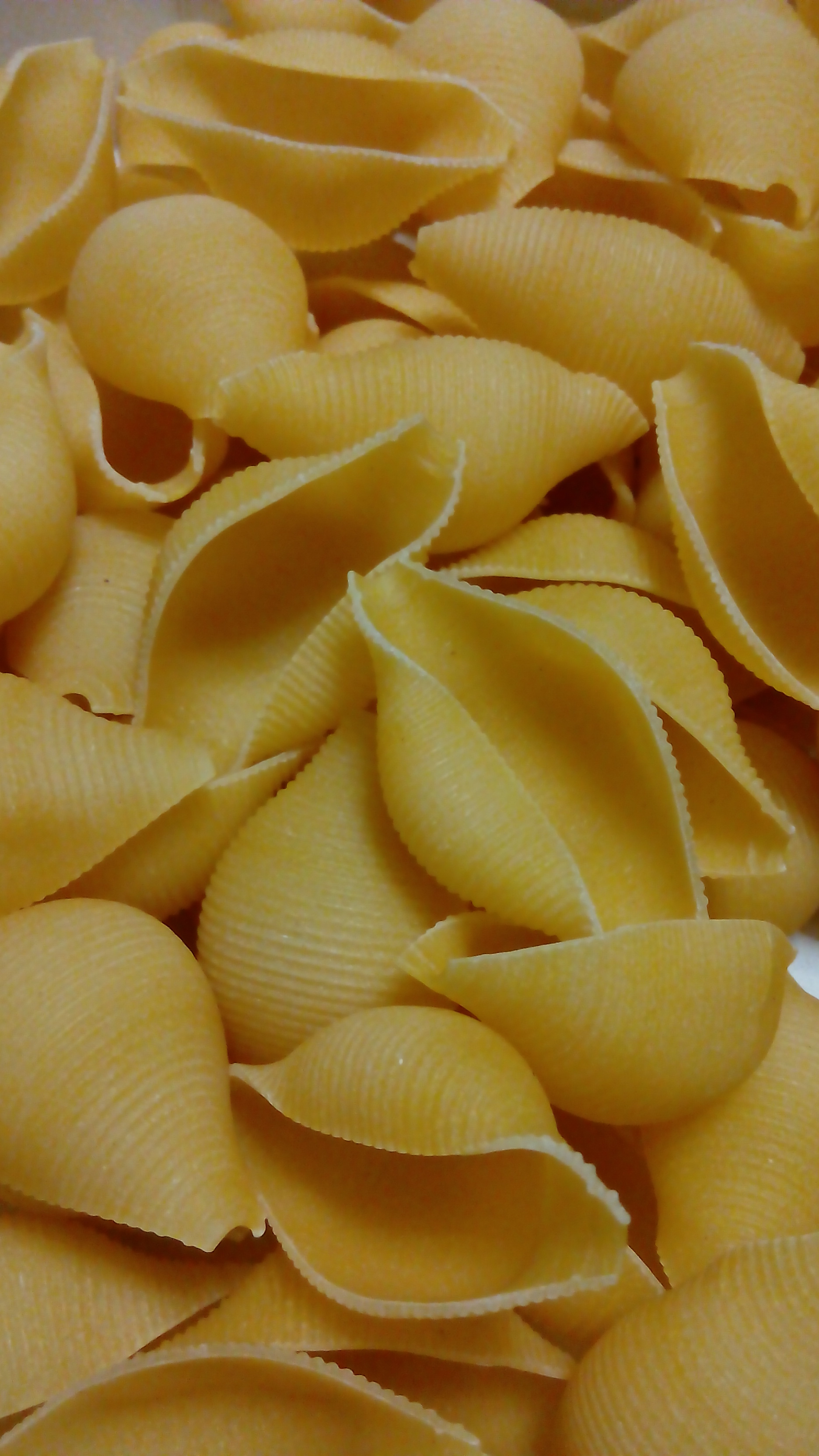 Paste conchiglioni (maxi scoici) umplute