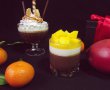 Panna cotta cu ciocolată,cu vanilie şi jeleu de mango-0